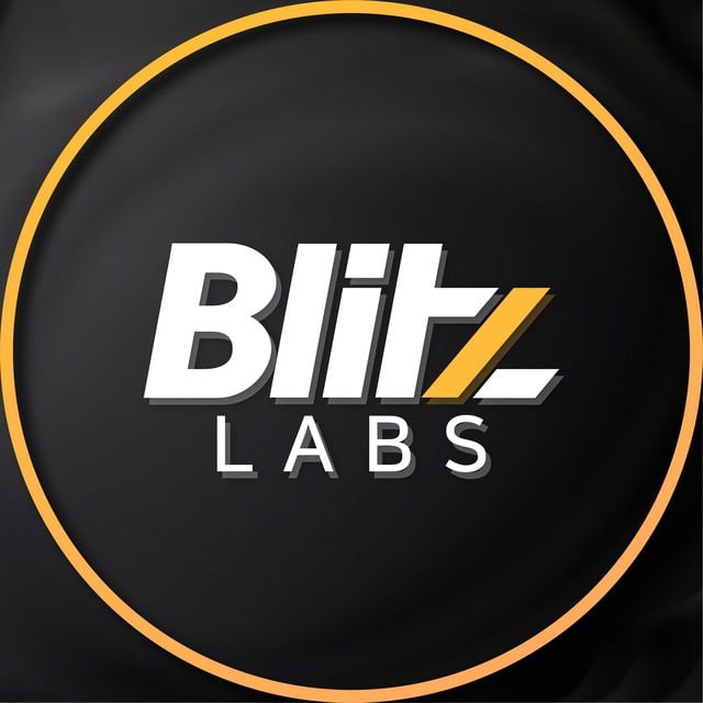 블리츠랩스 채팅방(Blitz-Labs Chat)